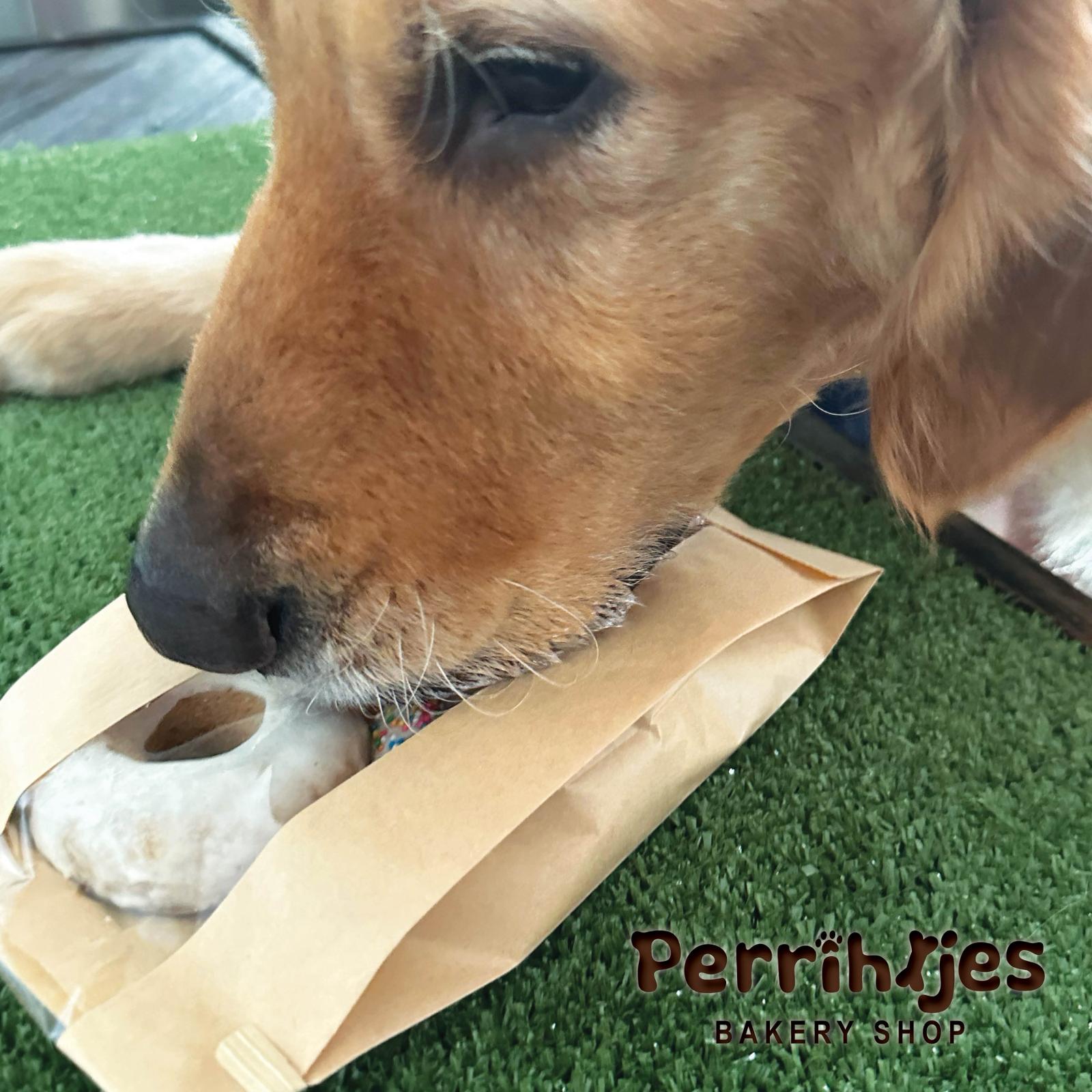 Pupnitas